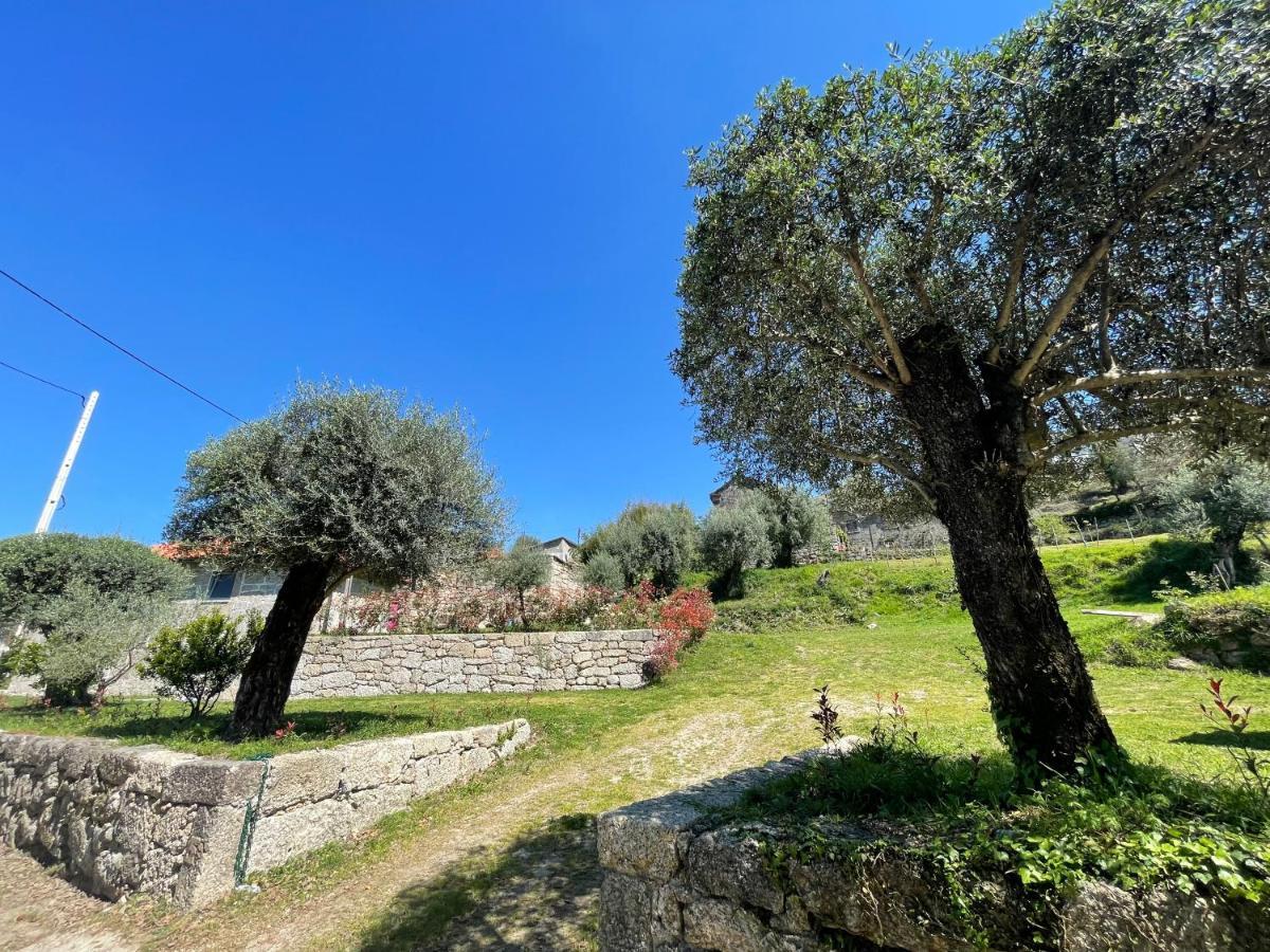 Casa Botica - Geres Country House Terras de Bouro Luaran gambar